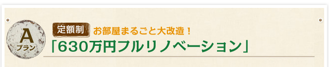 Aプラン　定額制・お部屋まるごと大改造！630万円フルリノベーション