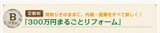 Bプラン　定額制　間取りそのままに。内装・設備を全て新しく！320万円まるごとリフォーム